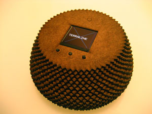 Vaibhav Bhawsar, Terraline, handheld navigation device, Vaibhav Bhawsar 2008